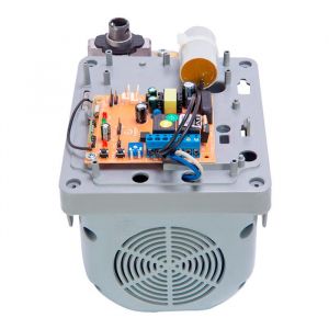 Motor Basculante BV Duo Speed 1/4 HP Garen Kit Automatizador Acionamento 2,00m